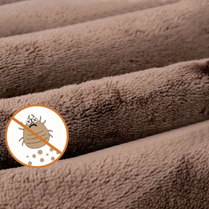 Hikari Home™ あったか電気毛布